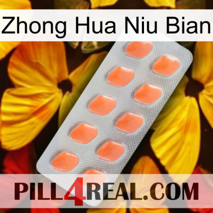 Zhong Hua Niu Bian 26
